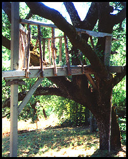 treehouse.jpg