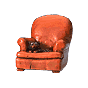 CatChair_thmb.gif